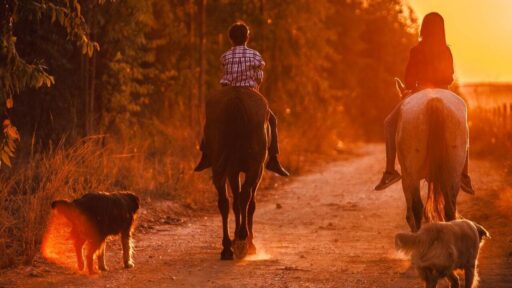 Excursiones con caballo