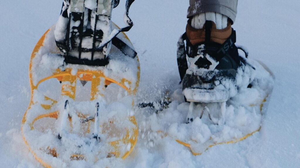 Excursiones con raquetas